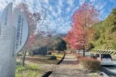 石見銀山世界遺産センターの入り口