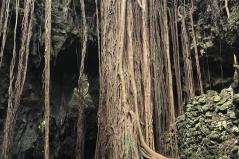 ガンガラーの谷