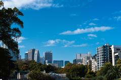 新宿御苑からみる都会の風景
