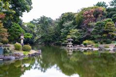 新宿御苑の日本庭園の池