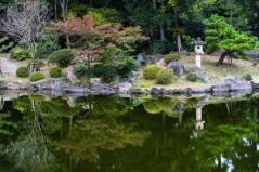 新宿御苑の日本庭園の池