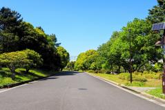 夏の緑の散歩道・葛西臨海公園