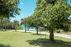 大浜海浜公園 木のブランコ