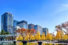 公園の先にそびえる高層ビルと紅葉した木々