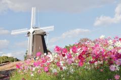 花博記念公園鶴見緑地