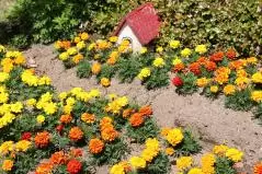 花博記念公園鶴見緑地