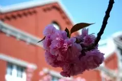大阪造幣局