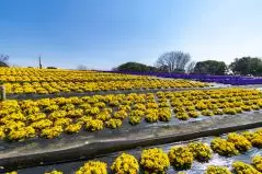 花博記念公園鶴見緑地