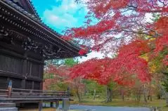 京都の秋　仁和寺観音堂と紅葉