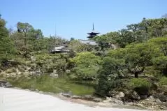 仁和寺の御殿の庭園