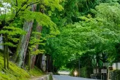 東福寺界隈 雨上がり