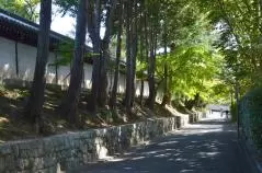 初秋の東福寺と東光寺の間の小道
