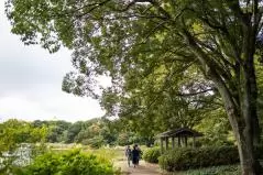  秋の国営昭和記念公園