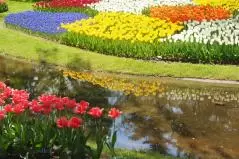 国営昭和記念公園