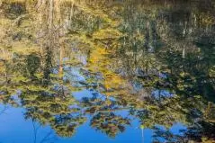 福島県　五色沼湖沼群・毘沙門沼の風景