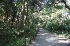 国立科学博物館付属自然教育園