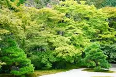 京都　南禅寺　南禅院の風景