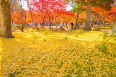 京都　南禅寺　紅葉
