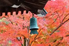 京都の美しい紅葉と風鐸