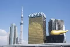 隅田公園からの景色