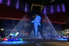  ライトアップされた海遊館