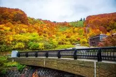 青森県　秋の酸ヶ湯温泉郷
