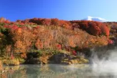 温泉の湯煙が立つ池