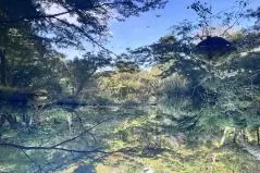 根津美術館の庭園