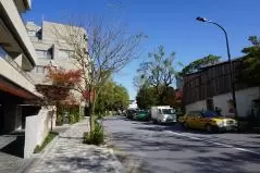 都道４１３号線　根津美術館付近