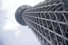 見上げる東京スカイツリー