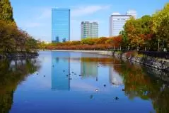 大阪城外堀・紅葉とクリスタルタワー