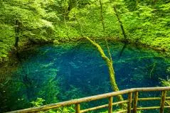 鮮やかなコバルトブルーに輝く神秘的な青池