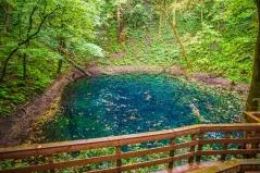 青森県　白神山地・青池