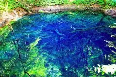 青森・十二湖・青池