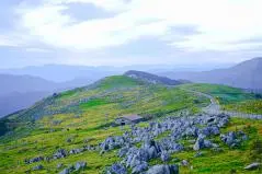 秋の四国カルスト