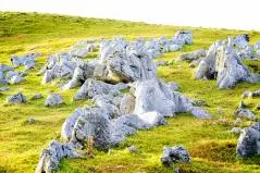 秋の四国カルスト