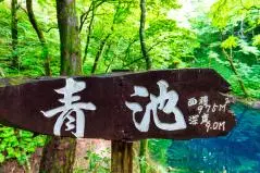  青森・十二湖・青池