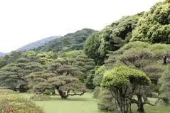 伊勢神宮での一風景