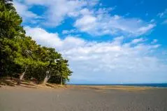 三保の松原　松林と三保海岸