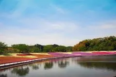  東京ドイツ村　池の周りに