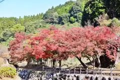 秘窯の里 大川内山の紅葉
