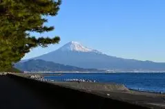 三保の松原の松林と駿河湾と富士山
