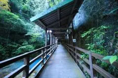 山口県美祢市　秋芳洞入口の風景