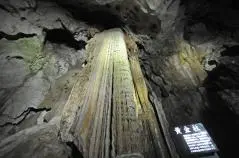 秋芳洞　黄金柱