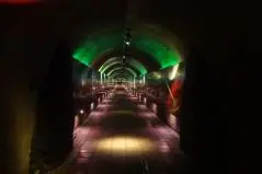 秋芳洞 黒谷口 3億年のタイムトンネル