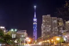 福岡タワーの夜景