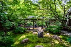 日本庭園（建仁寺）