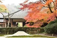 鎌倉 明月院 日本庭園