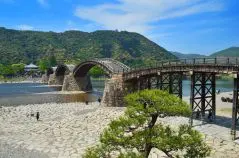 新緑の山口県岩国市の錦帯橋