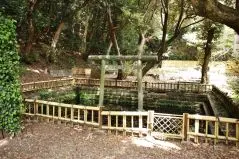 大洗磯前神社　神池